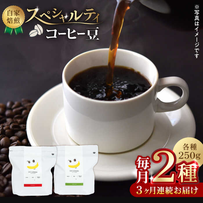 【ふるさと納税】【3回定期便】【豆のまま】自家焙煎 スペシャルティコーヒー 豆 （ 250g × 2種 ）約40杯分【かきやま果実】[ZCJ019] コーヒー coffee ドリンク 飲み物 飲料 国産 熊本県