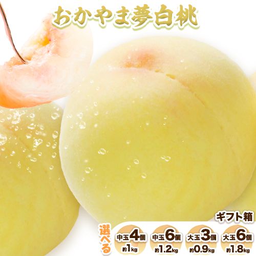 【ふるさと納税】桃 おかやま夢白桃 白桃 もも 詰合せ箱入り 選べる 中玉4個(約1kg) 中玉6個(約1.2kg) 大玉3個(約0.9kg)ふじまる《2025年7月下旬-8月上旬頃出荷》岡山県 笠岡市 送料無料 岡山 はくとう フルーツ 果物 デザート 旬 お取り寄せフルーツ