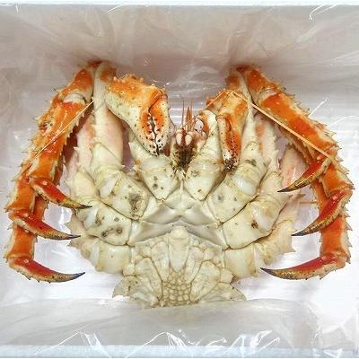 ふるさと納税 根室市 【北海道根室産】(チルド便)本タラバガニ900g前後 D-57050 |  | 01