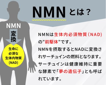 家族でシェア！！100年時代応援サプリ　NMN15000×25袋　NMN 健康  維持  若々しく サプリ エネルギッシュ 酵素 酵母 伊豆