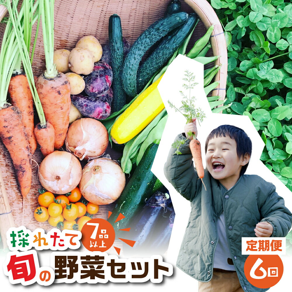 【ふるさと納税】金賞受賞 旬彩野菜セット 6回 定期便 旬の野菜 7品目以上 レシピ付き お届け 国産 新鮮 農薬不使用 化学肥料不使用 野菜ソムリエ 旬の目利き 高評価 安心 安全 農家直送 直送 産地直送 こだわり野菜 送料無料