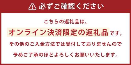 【2026年12月23日~25日のクリスマス時期にお届け】★クリスマスケーキ★シュータルト（シュークリームの山盛りタルト） ホール 15cm ／ スイーツ ケーキ クリスマス デザート タルト ギフト