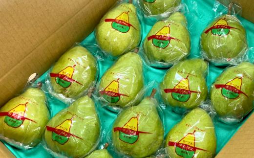 写真は梱包イメージです。２㎏箱の場合は、4～5玉のお届けとなります。