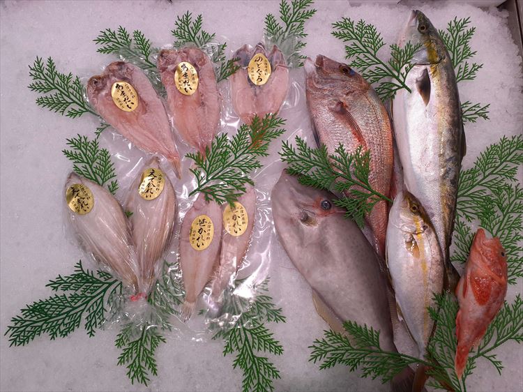 【ふるさと納税】鮮魚と干魚のコラボセット 年6回定期便（偶数月配送） 定期便 6回 鮮魚詰め合わせ 鮮魚 干物 ひもの 冷蔵 お任せ セット 詰め合わせ 下処理済 一夜干し 【096_1519】