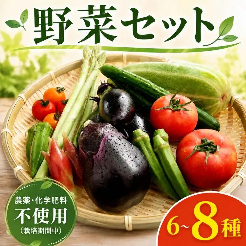 【先行予約】 訳あり 野菜セット 夏 6 ～ 8 種類 7月上旬以降発送 【 夏野菜セット 】