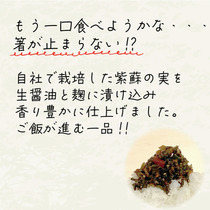 漬物 ごはんへらし 400g (100g×4) 小分け 朝食にオススメ ご飯のお供 朝食 ご飯 紫蘇の実 朝食 1万円 10000円