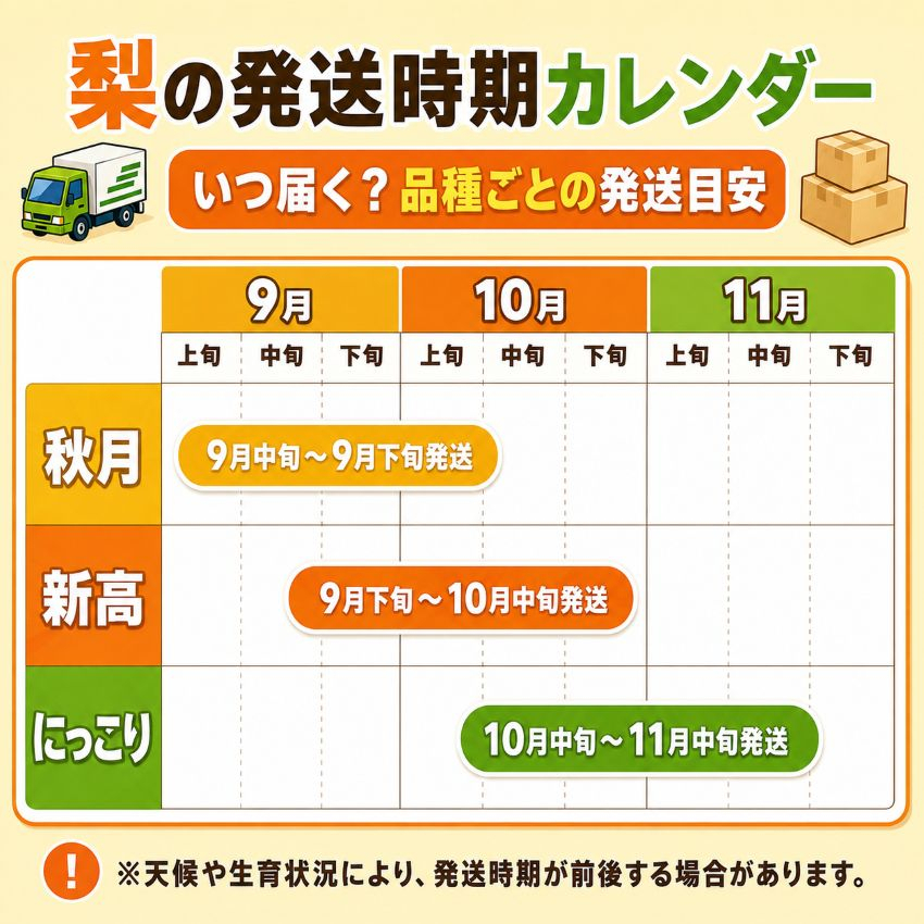 梨 新高 にいたか 秀品 3kg | 2026年9月～10月発送  栃木県共通返礼品 栃木県産 矢板市