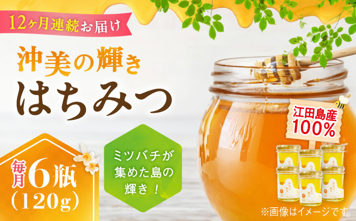 
            【全12回定期便】江田島産100％ はちみつ 『沖美の輝き』120g×6本セット ハチミツ 蜂蜜 国産 広島 江田島市/はつはな果蜂園 [XCD023] ハチミツ 国産蜂蜜 国産はちみつ 国産純粋はちみつ 蜜 蜂蜜 はちみつ ハニー honey 人気ハチミツ 日本蜜蜂 純粋はちみつ 常温 保存 備蓄 防災食 非常食 保存食 産地直送 国産 定期便
          
