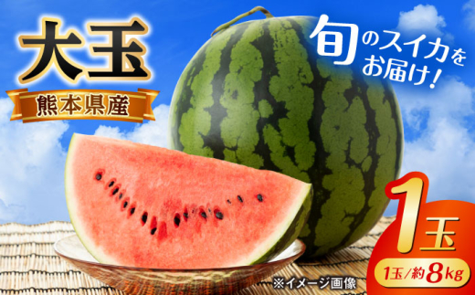 【2026年発送分先行予約】【数量限定】大玉 西瓜 1玉入り 約8kg スイカ 大玉すいか 西瓜 スイカ 果物 フルーツ くだもの 熊本 特産品 suika【株式会社 GGYパッケージ】[AYAU001]