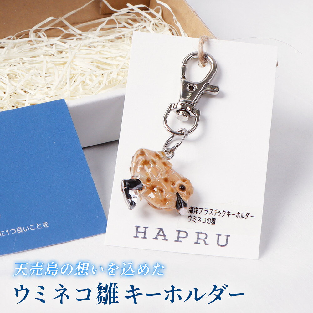 【ふるさと納税】天売島の想いを込めた「ウミネコ雛のキーホルダー」 | キーホルダー シーグラス ウミネコ 雛 鳥 アニマル 天売島 プラスチック 海洋プラスチック リサイクル エコ アクセサリー チャーム 雑貨 小物 ファッション お取り寄せ 北海道 羽幌町 羽幌【26009】