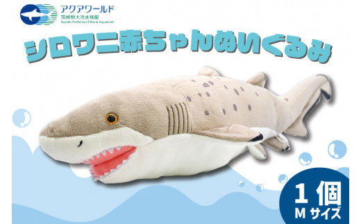 
ぬいぐるみ シロワニ アクアワールド 大洗 オリジナル グッズ 茨城 水族館 サメ シロワニ赤ちゃんぬいぐるみ サメ Mサイズ 限定
