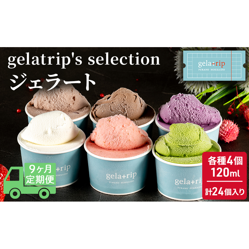 ≪9ヵ月定期便≫ジェラート24個 gelatrip's selection 北海道 上富良野町 