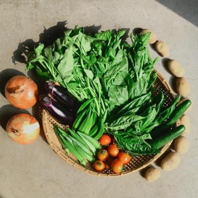 ふるさと納税 京都市 ◆全4回定期便◆【つくだ農園】《有機JAS認証 有機野菜10品入り》 |  | 03