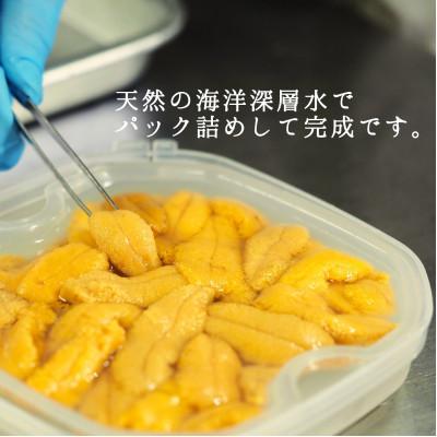 ふるさと納税 せたな町 【2025年6月下旬から順次発送】【北海道せたな町産】生鮮生うに(150g×2パック) |  | 02