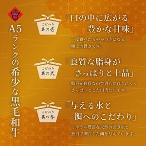 美崎牛を味わう！焼肉5種＆特製ハンバーグ よくばりセット | 牛肉 セット 和牛 黒毛和牛 沖縄 石垣 A5 オーガニック 幻の和牛 ギフト