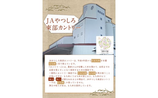 蓮華の花園(もち米) 5kg 精米 JAやつしろカントリー利用組合 氷川町《30日以内に出荷予定(土日祝除く)》---sh_jacomoti_30d_23_12000_5kg---