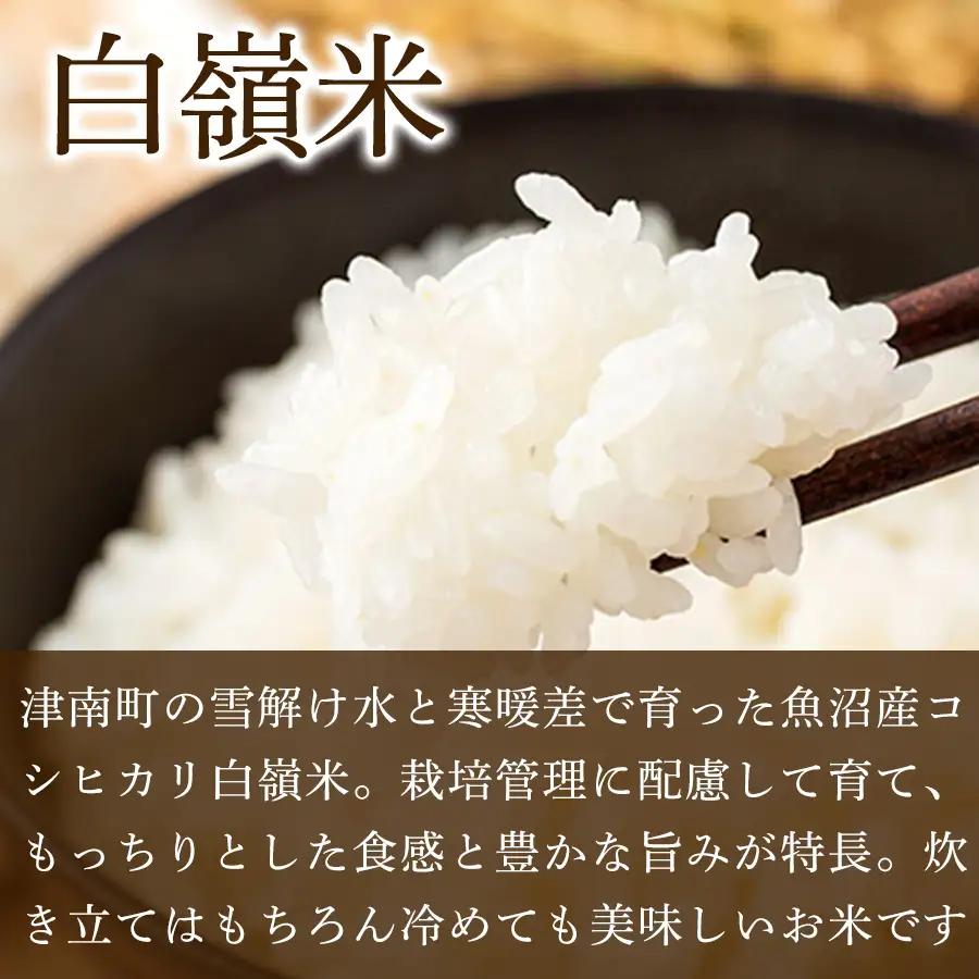 【令和8年産先行予約】【5ヶ月定期便】魚沼産コシヒカリ 白嶺米 5kg(5kg×1袋) | 津南町 魚沼