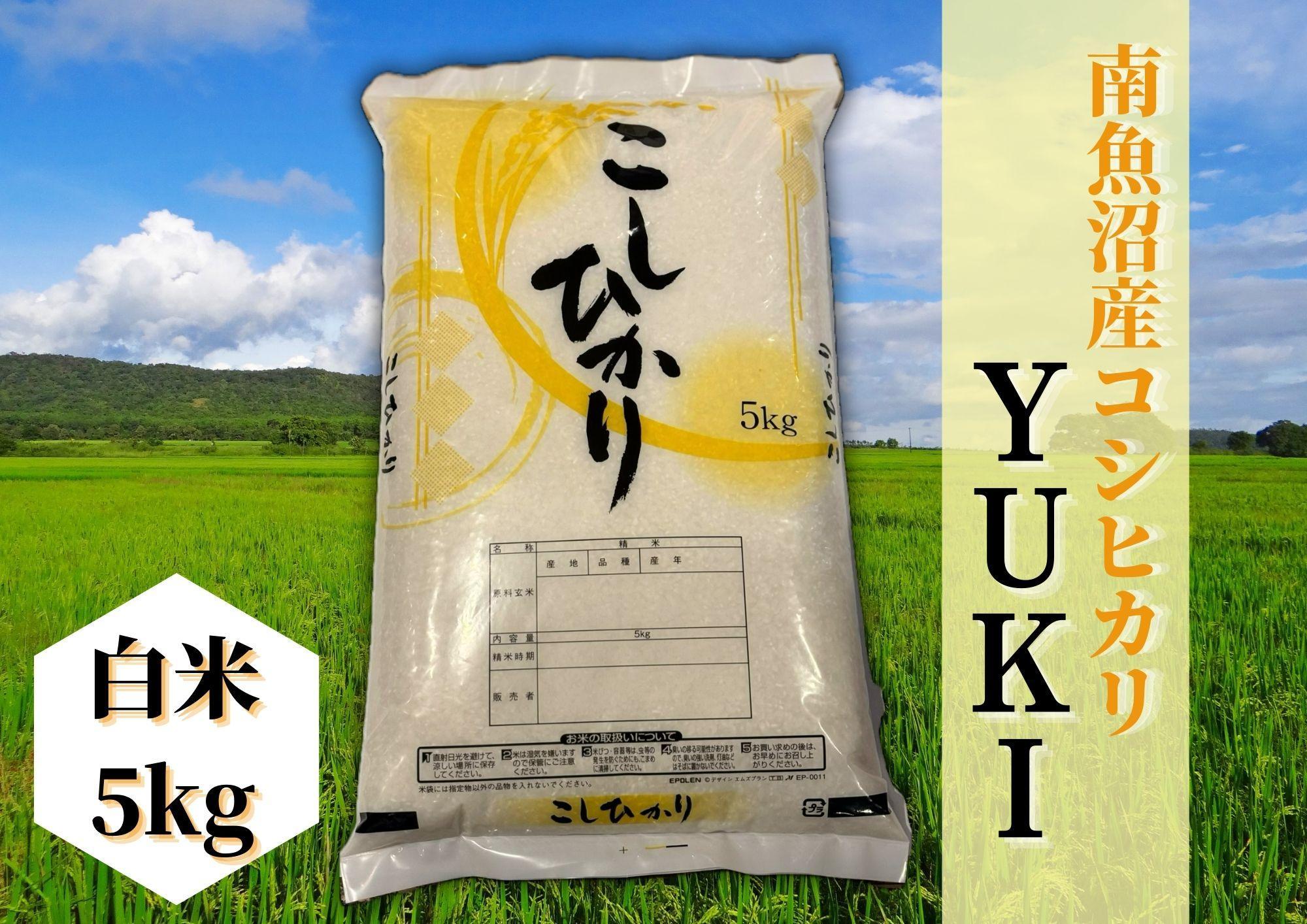 【定期便】【令和8年産 新米予約】南魚沼産コシヒカリ「YUKI」白米5kg×全3回【定期便 銘柄米 ブランド米 精米 こしひかり コシヒカリ 魚沼産 新潟米 産地直送 お米 米 こめ コメ ご飯】【2026年10月上旬より1ヶ月以内に順次発送予定】