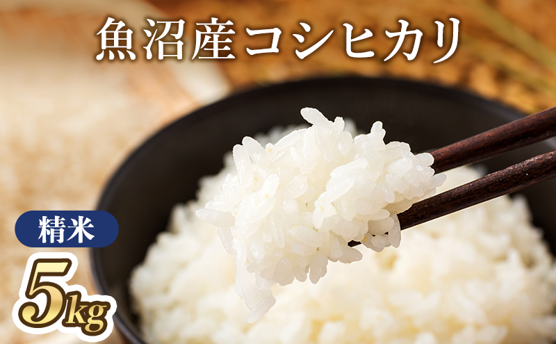 【令和7年産】魚沼産コシヒカリ(精米)5kg