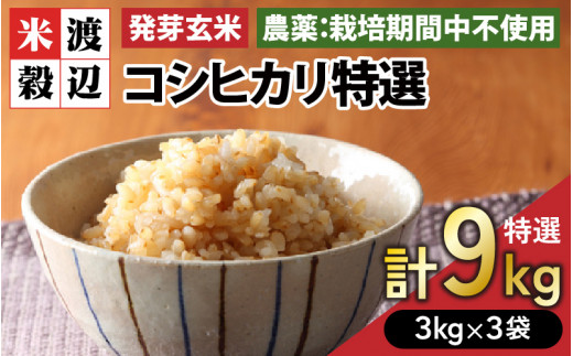 【令和6年産・新米】発芽玄米 コシヒカリ「特選」特別栽培米使用 3kg×3袋（計9kg）【米 こしひかり 玄米 ギャバ GABA 特別栽培 食物繊維 栄養 真空パック ごはん ご飯 おいしい ふるさと納税米】 [D-2921]