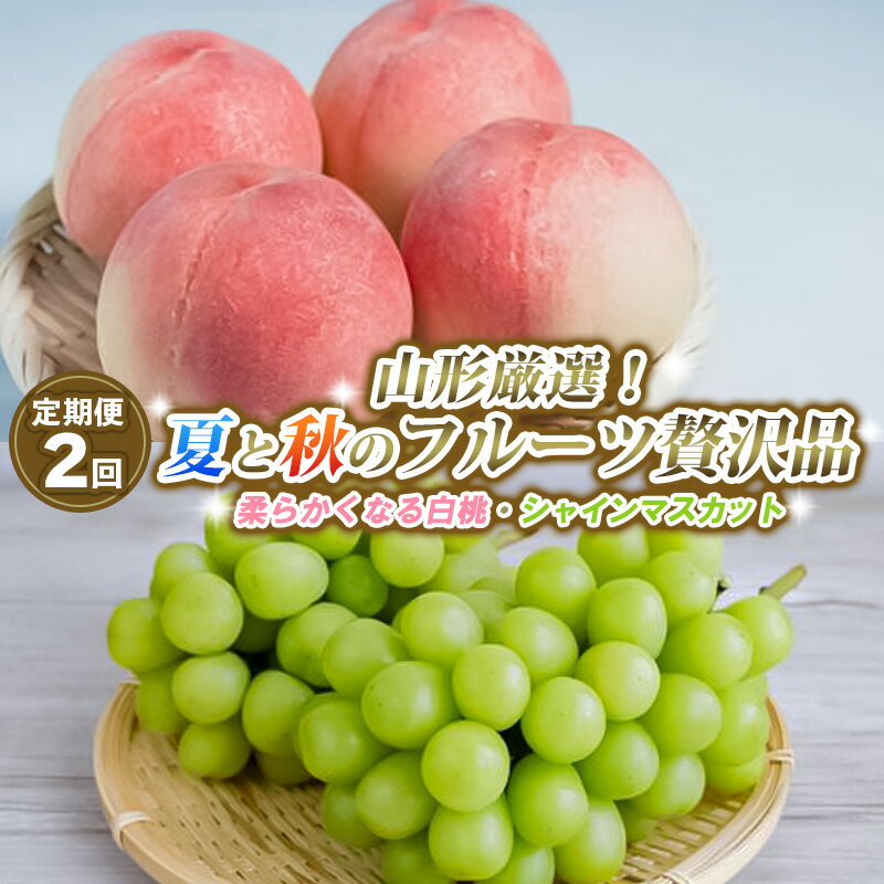 【ふるさと納税】【定期便2回】山形厳選！夏と秋のフルーツ贅沢品(柔らかくなる白桃、シャインマスカット) 【令和8年産先行予約】FS25-643 くだもの 果物 フルーツ 山形 山形県 山形市 お取り寄せ 2026年産
