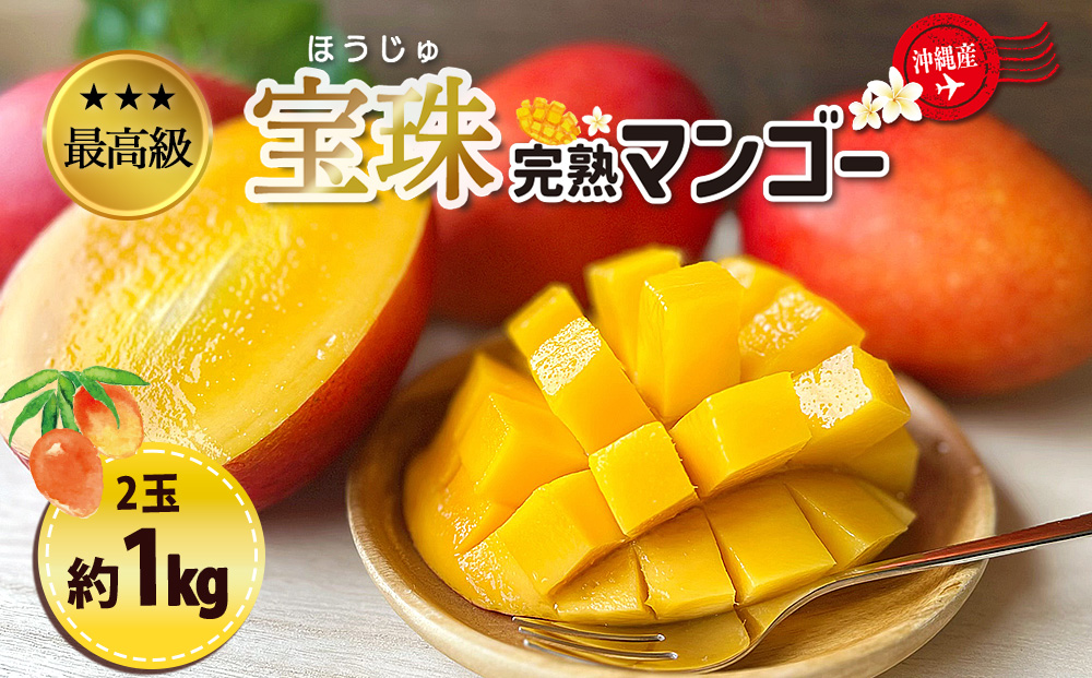 最高級マンゴー　宝珠１kg 【熱帯資源植物研究所】