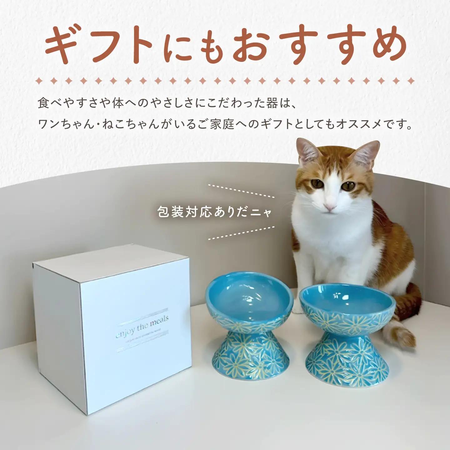 【波佐見焼】フードボウル 猫・小型犬用 花美(はなび)シリーズ white 1点【enjoy the meals】[AH13]