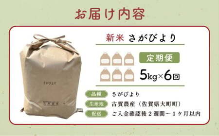 令和7年産 さがびより 5kg×6回定期便 ／米 お米 返礼品 飯 ごはん 弁当 銘柄米 白米 県産米 佐賀県産 国産米 精米 ブランド米 おにぎり 国産 食品 人気 おすすめ ふるさと納税米 新米 