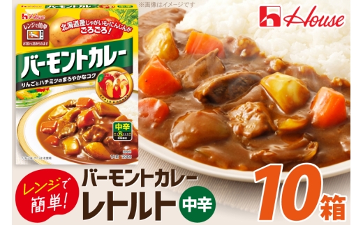 カレー レトルト バーモントカレー 中辛 200g 10個 [翔栄通商 愛知県 江南市 ko23btu570054] レトルト食品 レンジ対応商品 惣菜 お惣菜 惣菜カレー 簡単 時短 お手軽 便利 簡単調理 ストック 小分け