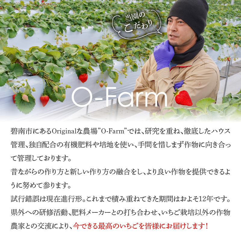 （予約受付中）【12月以降順次発送】まるで赤いサファイア!!丹精込めた完熟いちご!! 約450g H130-012