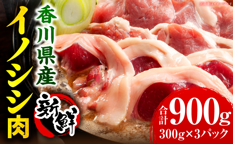 香川県産　イノシシ肉　300g×3パック　ジビエ　牡丹鍋|肉 イノシシ肉 ジビエ 冷凍 香川県 三木町|_mk141-001