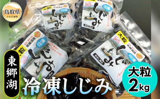 東郷湖冷凍しじみ（大粒） 2kg_T2600034 ふるさと納税 鳥取 特産品 お取り寄せ おすすめ ギフト 名産　シジミ 貝 魚介