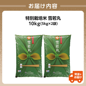 【令和6年度産米】新米 特別栽培米 雪若丸 10kg 【山形県産】【2024年度産米】 001-095
