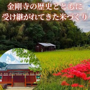 【令和7年11月以降順次発送】令和7年産　河内長野産米　ヒノヒカリ　「天野輝」 5kg（精米後約4.5kg） 米 コメ こめ 新米 白米