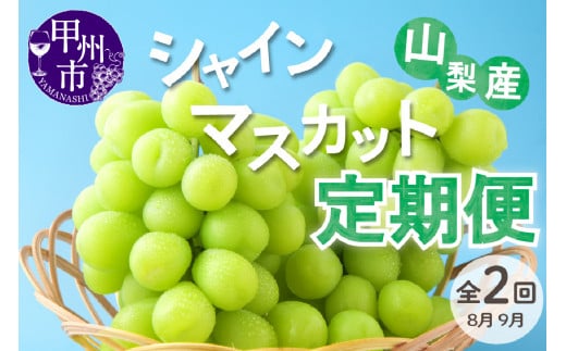 【定期便全2回】 甲州市 シャインマスカット定期便 産地直送 瑞々しい美味しさのまま発送！【2025年発送】（VYD）C2-885【シャインマスカット 葡萄 ぶどう ブドウ 令和7年発送 期間限定 山梨県産 定期便 甲州市 フルーツ 果物】