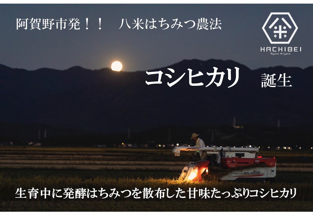 【令和8年産新米予約】【環境大臣賞受賞】【特別賞受賞】12ヶ月定期便 無洗米 はちみつ農法 コシヒカリ 5kg×12回 計60kg 10月中旬より順次発送 1L12157