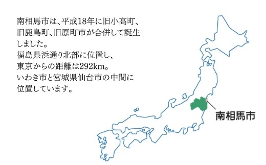 スパッツ　Lサイズ