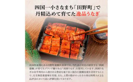 うなぎの蒲焼き(小) 2尾×6回 定期便 6ヶ月 定期コース タレ付き 山椒付き