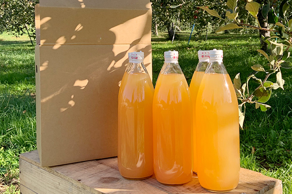 《2ヶ月ごとに6回お届け》りんごジュース ふじ 1L×6本 計6L【小さなSDGs ラベルレス】無添加 ストレート果汁100％！ 青森県特別栽培農産物認証農園
