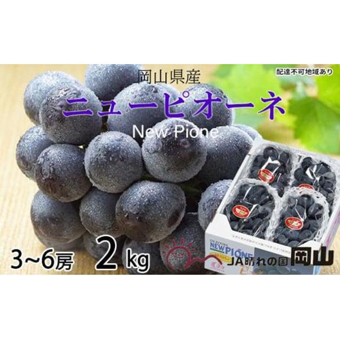 【ふるさと納税】ぶどう 2026年 ニュー ピオーネ 3房～6房 約2kg ブドウ 葡萄 岡山県産 国産 フルーツ 果物 ギフト | フルーツ 果物 くだもの 食品 人気 おすすめ 送料無料