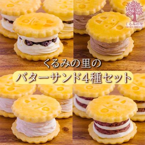 くるみの里バターサンドづくし(合計10個) お菓子詰め合わせセット [ラムレーズンサンド あんバターサンド チョコレート 苺 イチゴ ストロベリー 洋菓子 ワンストップオンライン] TF0675-P00010