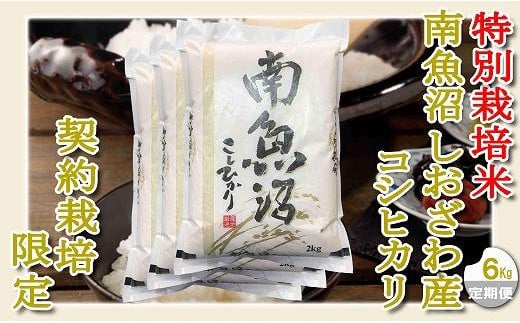【令和7年産】【定期配送６Kg×９ヶ月】特別栽培 生産者限定  南魚沼しおざわ産コシヒカリ【2025年10月上旬より順次発送予定】
