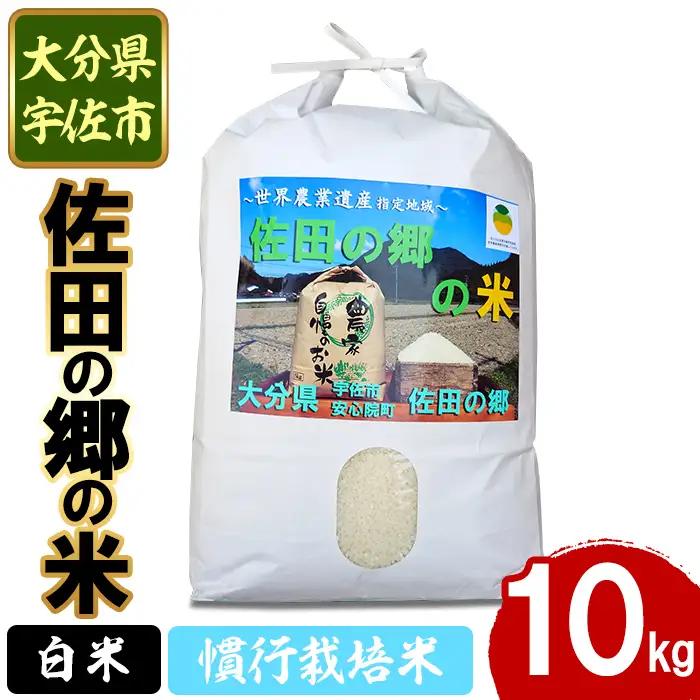 ＜令和7年産＞佐田の郷の米 慣行栽培米(10kg) お米 白米 ごはん ヒノヒカリ ひのひかり ブランド米 常温 常温保存【111700204】【雅設置プロジェクト　佐田の郷の会】
