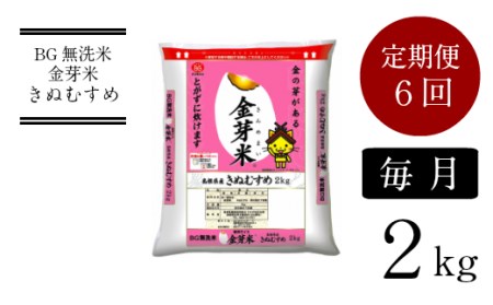 BG無洗米・金芽米きぬむすめ 2kg×6ヵ月 定期便 【毎月】 新米［令和6年産］計量カップ付き