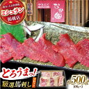 【ふるさと納税】熊本 馬刺し「なか園」赤身馬刺し 約500g【有限会社スイートサプライなかぞの】[ZBV067]