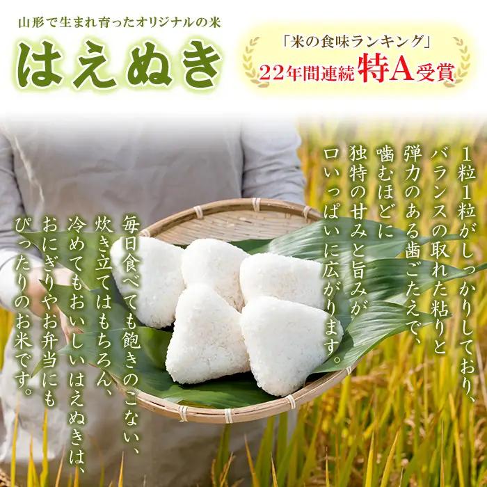 【定期便6回】山形産 はえぬき 5kg×6ヶ月(計30kg) FZ24-473