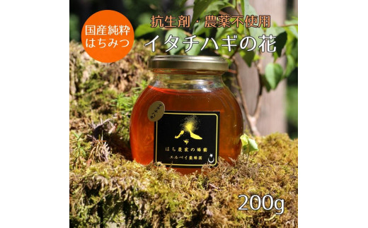 
【ふるさと納税】はちみつ　イタチハギの花200ｇ
