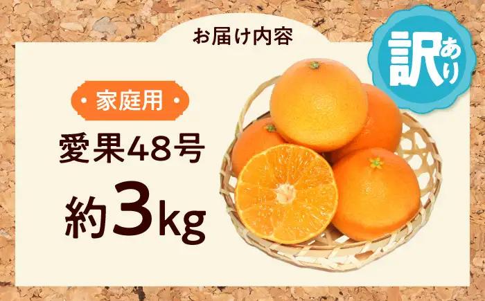 みかん 訳あり 愛果48号 約3kg フルーツ 果物 みかん 訳あり BJAZ001
