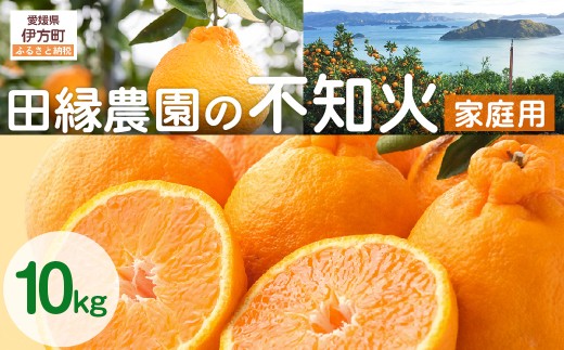 【先行予約】【家庭用】不知火 10kg ※離島への配送不可 （2027年2月10日より順次発送） 【 ふるさと納税 人気 おすすめ ランキング みかん ミカン 蜜柑 不知火 しらぬい フルーツ 果物 愛媛県産 田縁農園 愛媛県 伊方町 送料無料 】 IKTA036
