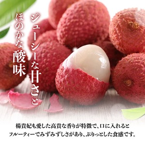 【令和8年産】川南町産ライチ（大粒）10粒(5粒×2パック) 【 国産ライチ フルーツ デザート 宮崎県産 】